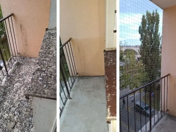czyszczenie balkonu po gołębiach i zabezpieczenia